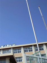 選挙に行ってきました。