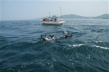 夏休み最後の日曜日(^＿^;) 
