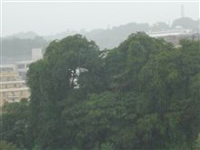 台風１１号　アジア名 Krovanh（クロヴァン） 接近中