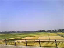 ヌルいけど大変