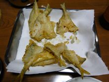 追伸　今日の釣果はこれだけ…