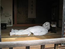 新型のヤツかっ！？