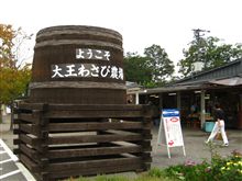 ★ワサビとお城★