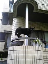 ぼーさいの日。。。！？