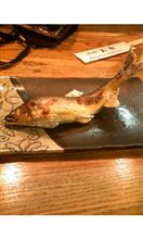秋の味覚? 秋の味覚?