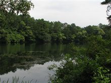 五色沼の写真より１枚