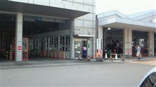 そんなにジロジロ見ないで