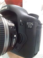7D 試写