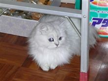 今日は～