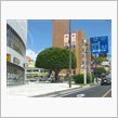 帰省