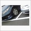 ５日おぱやwww