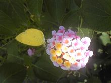 お食事中に失礼～