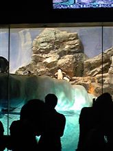 でざーとわ