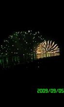 諏訪湖名物の
