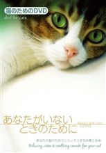 こんなんで...。猫パンチ。。。