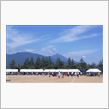 村民運動会でした。（＾０＾）