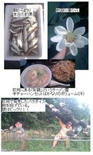 １日の出来事