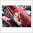 ＡＣＧ2009ｉｎ北海道　