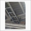妙な鳴き声のカラス