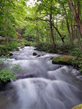 旅行継続中・・・・