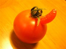 何故こうなってしまったのか？