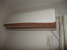 蝙蝠がががが