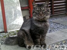 長らく放置してました・・・