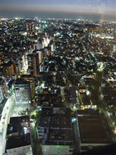 「いわゆる、オランダ戦追記」