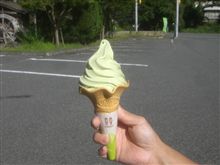 ほうれんそうな・・・