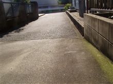 草取り