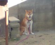 披露宴…(^o^)！？