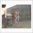 披露宴…(^o^)！？