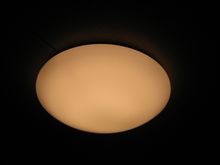 電球色