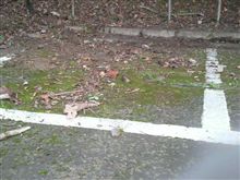 今年の会場の状況