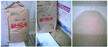 来た！新米だ！