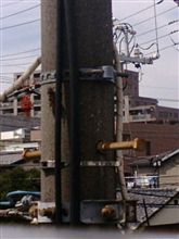 (；&#180;Д｀)現在のレベル&gt;&gt;油蝉