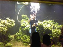 １３日おぱやwww