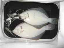 西北西の風2m/s波の高さ05m長潮/U