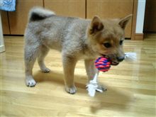 すくすくと．．．