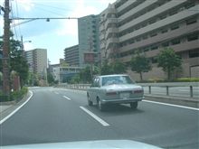 本日のノスヒロ