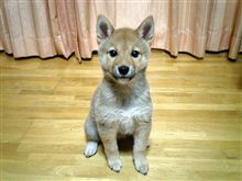 それからさらに一週間．．．