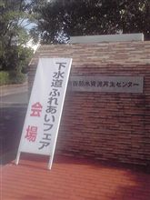 フライドポテト三昧。 フライドポテト三昧。