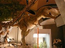 【恐竜の化石】を・・・。