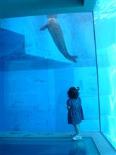 マリーンワールド海の中道