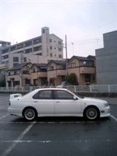 真生・ブル インプレッション 真生・ブル インプレッション