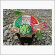 冬野菜植えたど～！！～シチリアンブロッコリー～