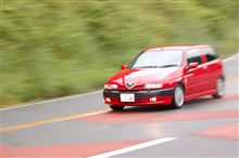マフラーブッシュ