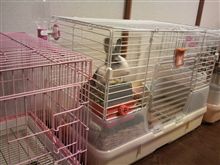 引っ越した！