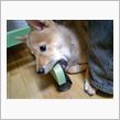 困ったことに．．．