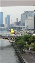 いた！